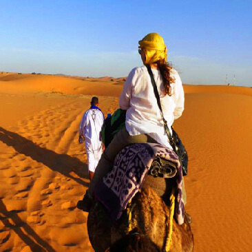 casablanca to imperial cities via desert 7 days